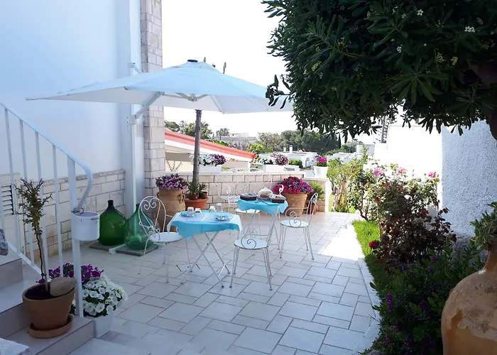 Vento D'amare レポラーノ